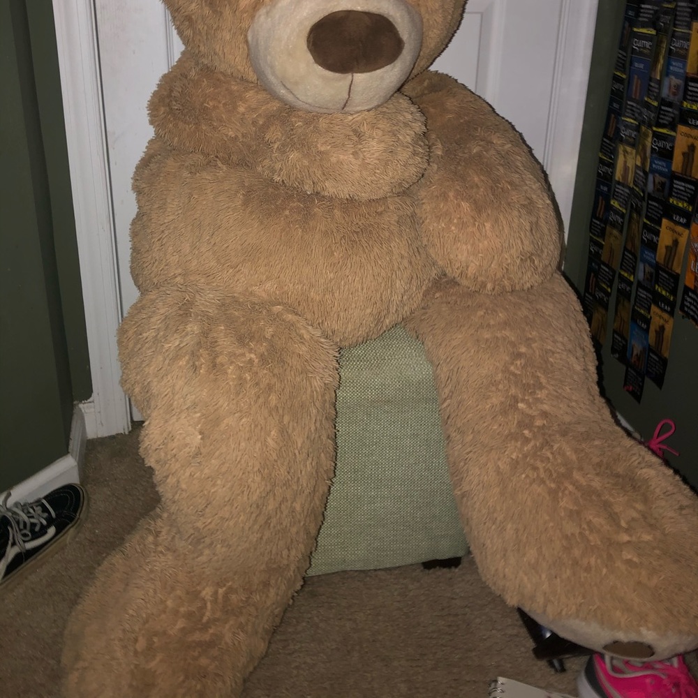 Bear - Picture 2 of 3